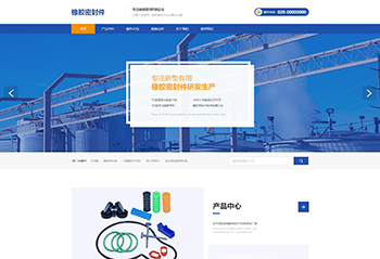 橡胶密封件类案例